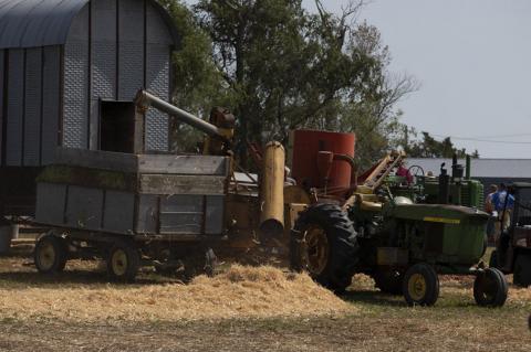 DELMONT HARVEST FESTIVAL HELD