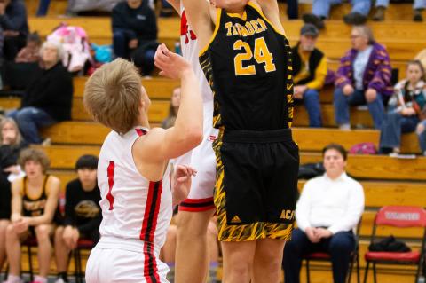 Article Image Alt Text