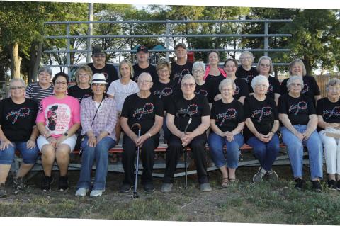 Article Image Alt Text