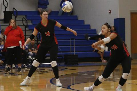 Article Image Alt Text