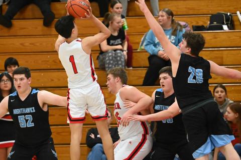 Article Image Alt Text