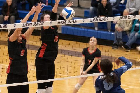 Article Image Alt Text