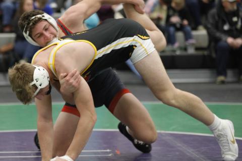 Article Image Alt Text