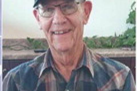 Article Image Alt Text