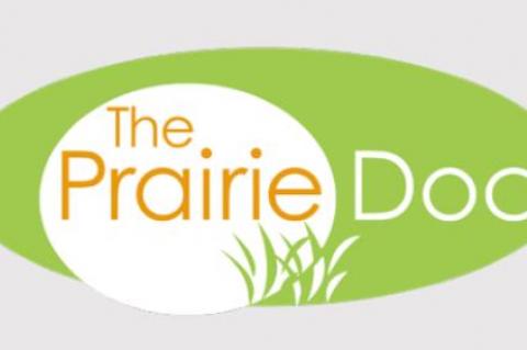 THE DO-IT-YOURSELF DISEASE