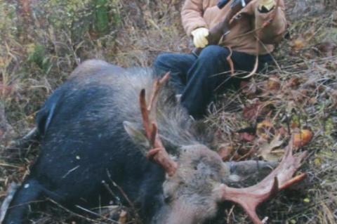 Article Image Alt Text