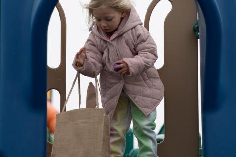 Article Image Alt Text