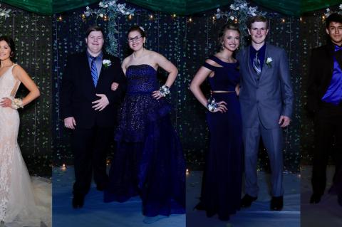 Article Image Alt Text