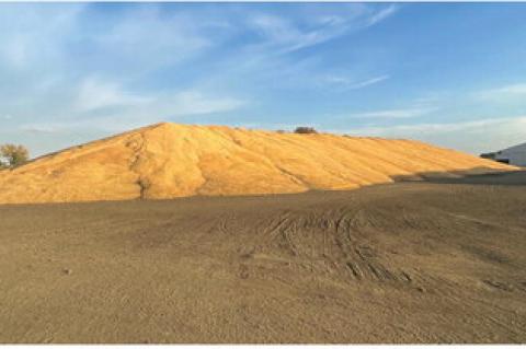 Article Image Alt Text