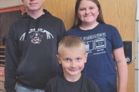 Article Image Alt Text