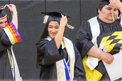 Article Image Alt Text