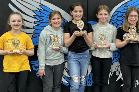 Article Image Alt Text