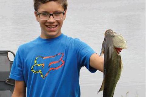 Article Image Alt Text