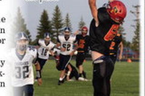 Article Image Alt Text