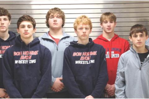 Article Image Alt Text