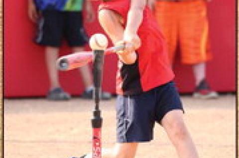 Article Image Alt Text