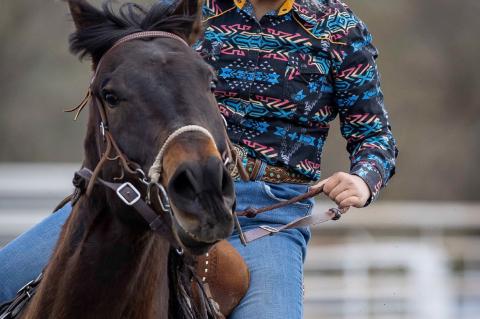 Article Image Alt Text