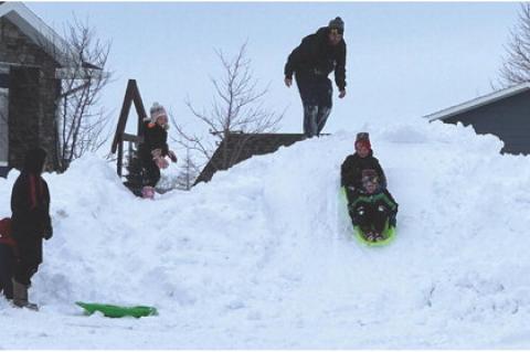 Article Image Alt Text