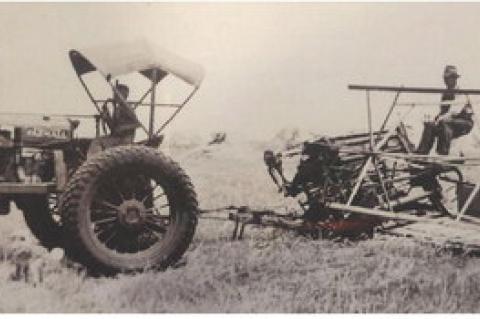 Article Image Alt Text