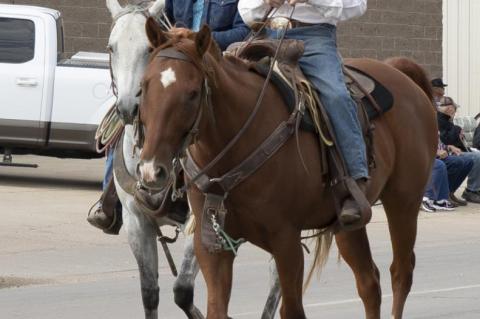 Article Image Alt Text