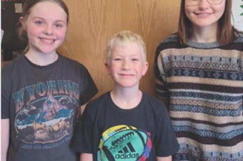 Article Image Alt Text