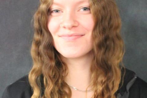 Article Image Alt Text