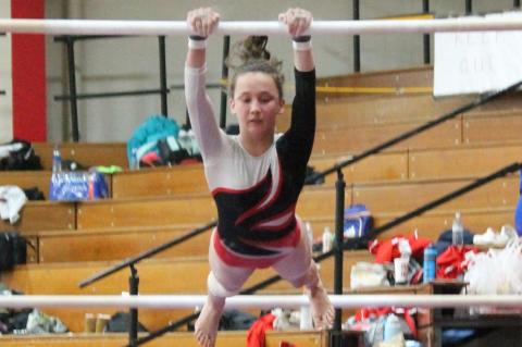 GYMNASTICS TEAM HEADING TO STATE