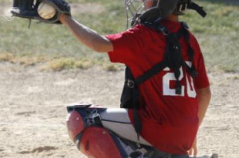 Article Image Alt Text