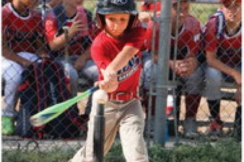 Article Image Alt Text