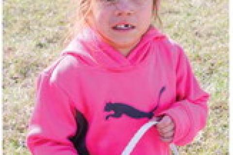 Article Image Alt Text