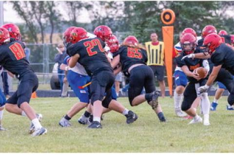 Article Image Alt Text