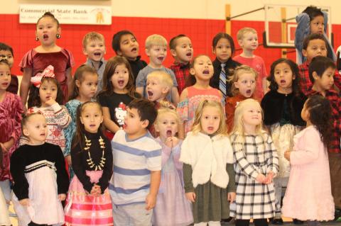 Article Image Alt Text