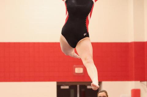 Article Image Alt Text