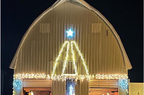 Article Image Alt Text