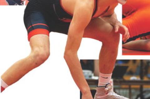 Article Image Alt Text