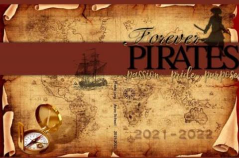 Article Image Alt Text