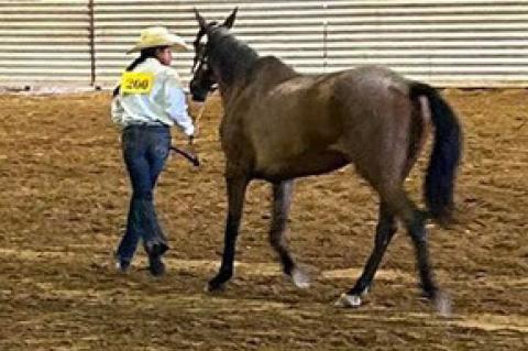 CHARLES MIX COUNTY 4-H HORSE SHOW