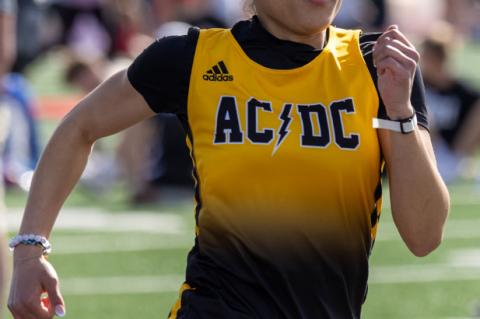 Article Image Alt Text