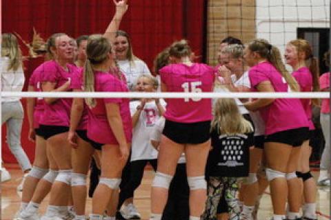 Article Image Alt Text