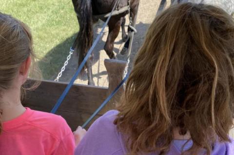 Article Image Alt Text