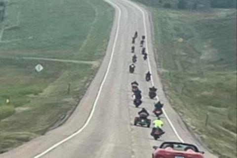 Article Image Alt Text