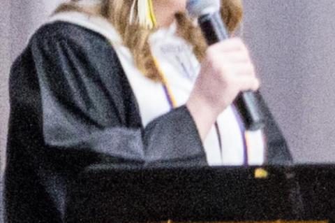 Article Image Alt Text