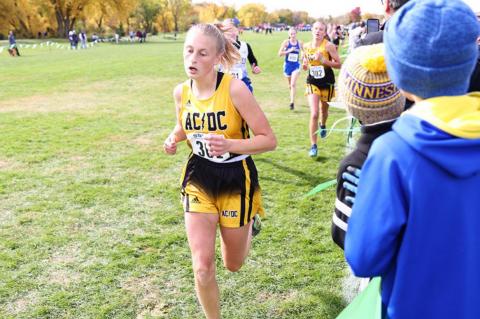 Article Image Alt Text