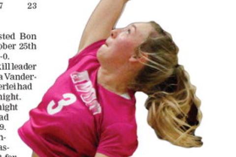 Article Image Alt Text