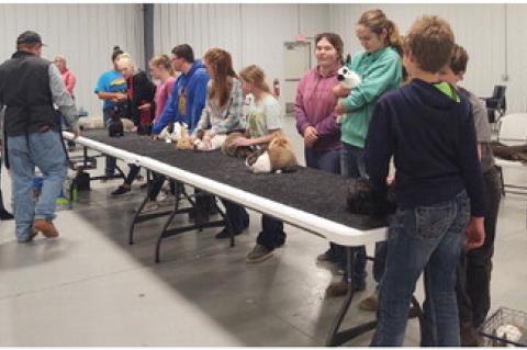 BON HOMME COUNTY 4-H HOSTS POULTRY AND RABBIT SHOW 