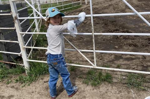 Article Image Alt Text