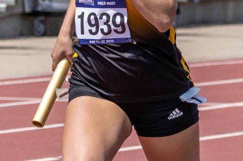 Article Image Alt Text