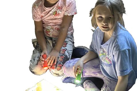 Article Image Alt Text