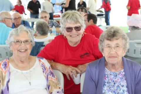 Article Image Alt Text