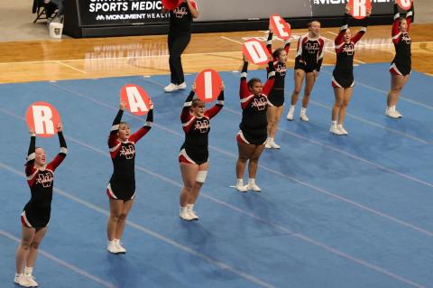 Article Image Alt Text